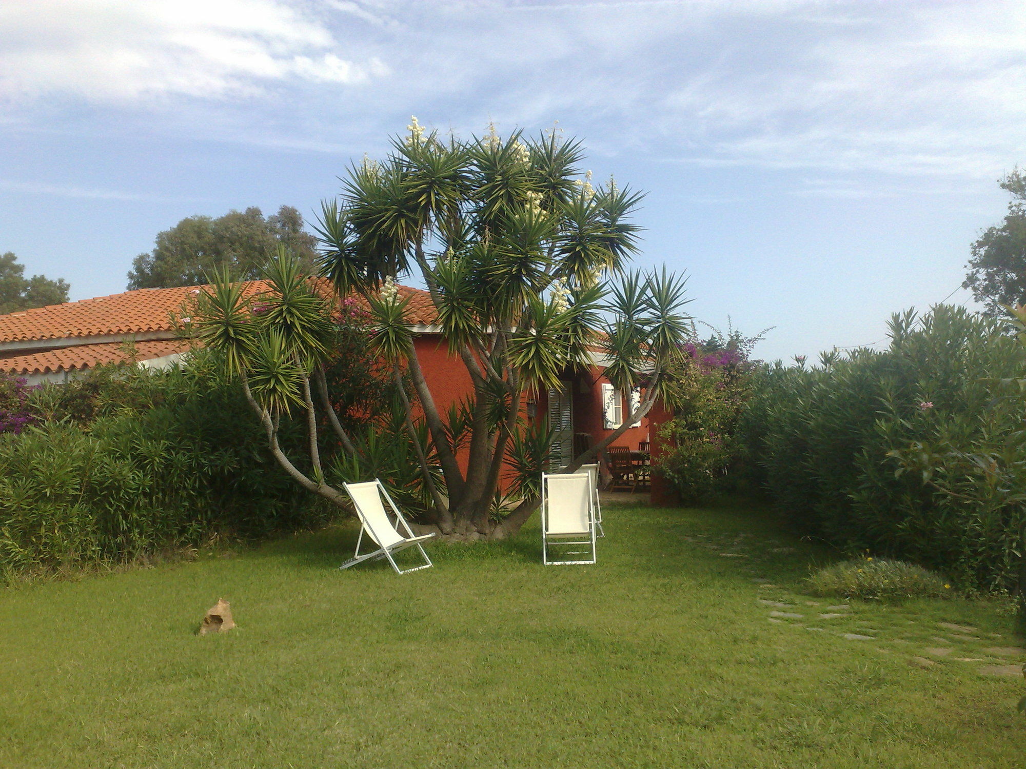 Residence La Pineta Budoni Exterior foto